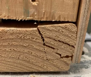 steel vs wood construction